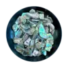 Abalone schelpjes stukjes kleurrijk blauw groen voor zelf orgonite maken