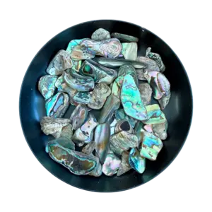 Abalone schelpjes stukjes kleurrijk blauw groen voor zelf orgonite maken